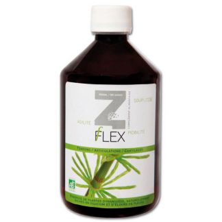 Z-Flex Mint-e Health Laboratories - 500 ml.
