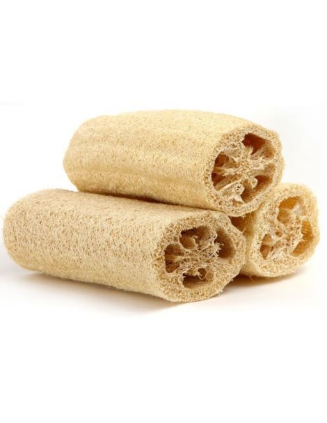Esponja Vegetal de Luffa Natural - 15 cm.