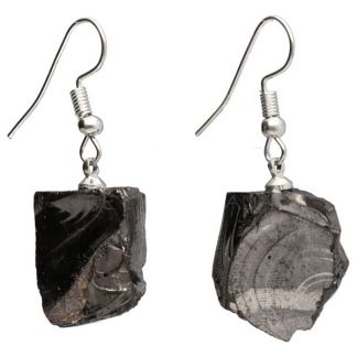 Pendientes Bruto de Shungit con Baño de Plata