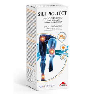Sili-Protect Intersa - 500 ml.