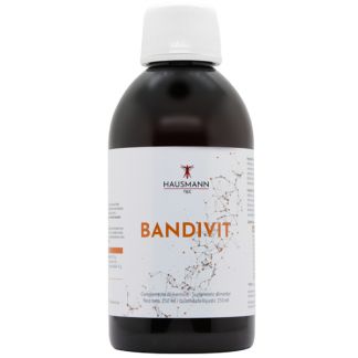Bandivit Jarabe Hausmann Tec - 250 ml.