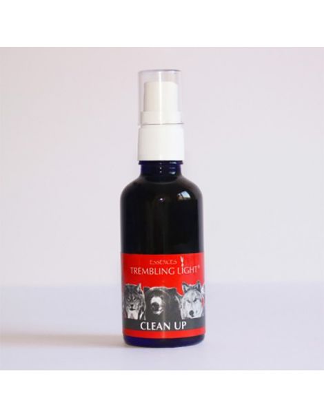 Spray Clean Up Trembling Light Essences - 50 ml.