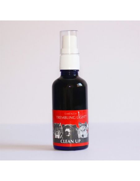 Spray Clean Up Trembling Light Essences - 50 ml.