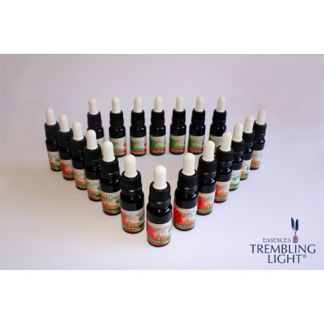 Set Esencias de Llaves y Puertas Trembling Light Nestinar - 20 esencias