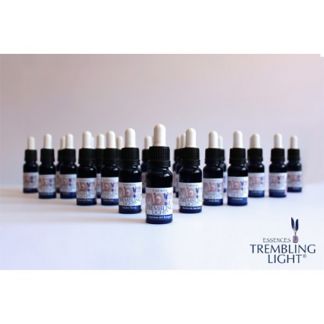 Set Esencias Básicas Trembling Light Nestinar - 25 esencias