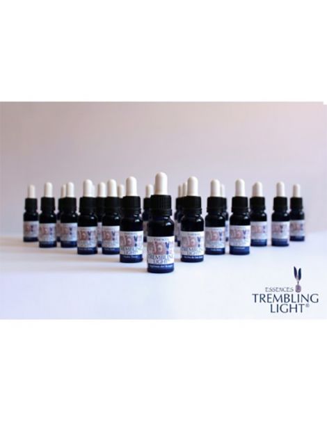 Set Esencias Básicas Trembling Light Nestinar - 25 esencias