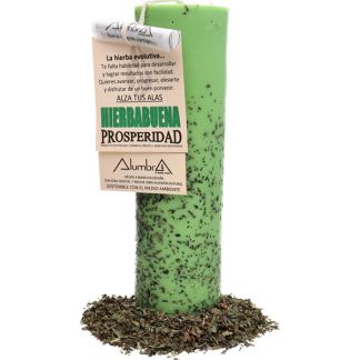 Vela Artesanal de Soja con Hierbabuena - Prosperidad