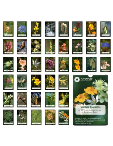 Cartas Florales Dr. Bach Nestinar
