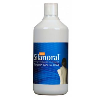 Silanoral Basic - 1000 ml.