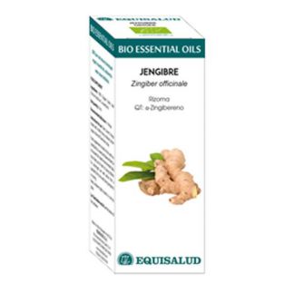 Bio Essential Oil Jengibre Equisalud - 10 ml.